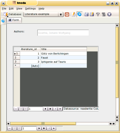 The form with changed gridcolumns